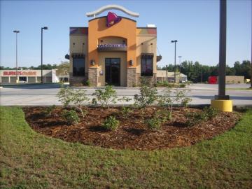 Commercial Landscaping for Taco Bell in Columbia, MS